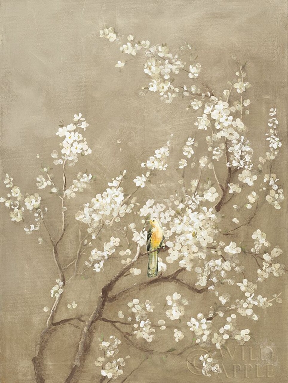 White Cherry Blossom I Neutral Crop Bird Poster Print by Danhui Nai - Item # VARPDX22469